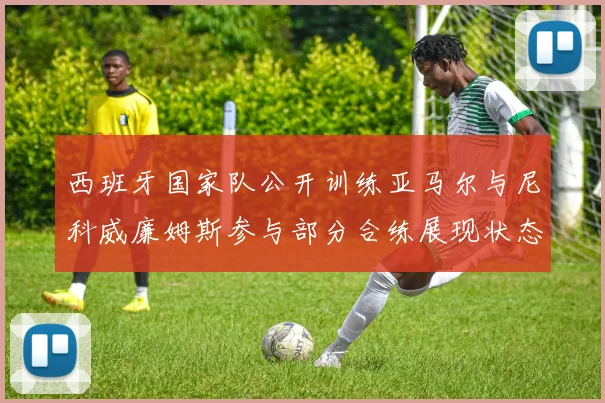 西班牙国家队公开训练亚马尔与尼科威廉姆斯参与部分合练展现状态